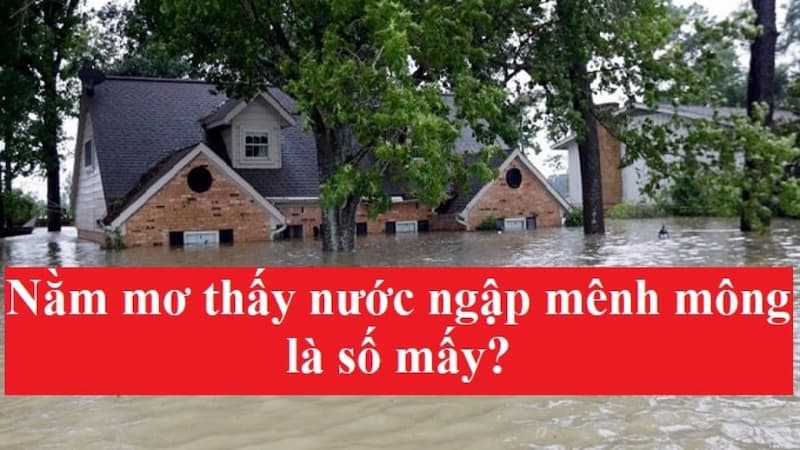 Giải Nghĩa Việc Nằm Mơ Thấy Nước Ngập Mênh Mông 